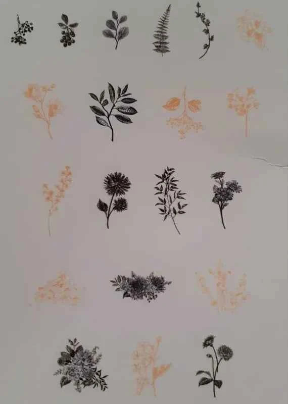 Grote Washistickers | Bloemen en Planten | Zwart met Goud
