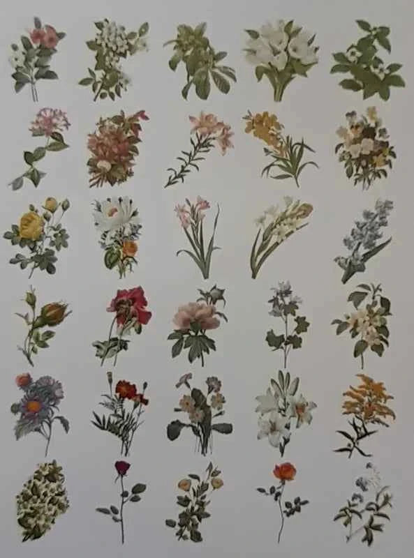 Grote Washistickers | Bloemen en Planten
