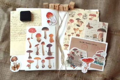 30-delig papier- en stickerset | Thema natuur