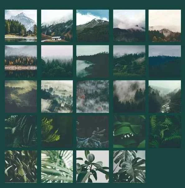 Stickerdoosje | Stickers met Natuurfoto's