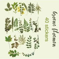 PET-stickers | Groene bloemen