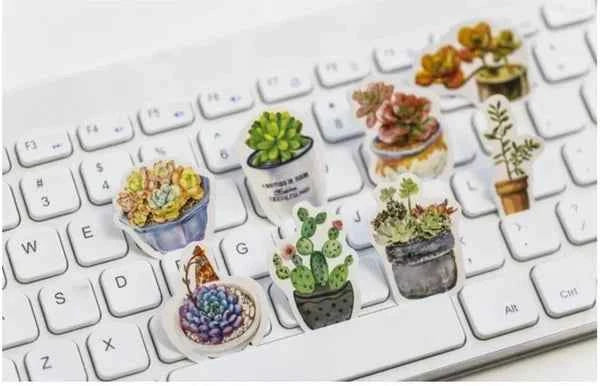 Stickerdoosje | Vetplanten en cactussen in pot