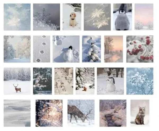 Stickerdoosje | Winterse fotostickers