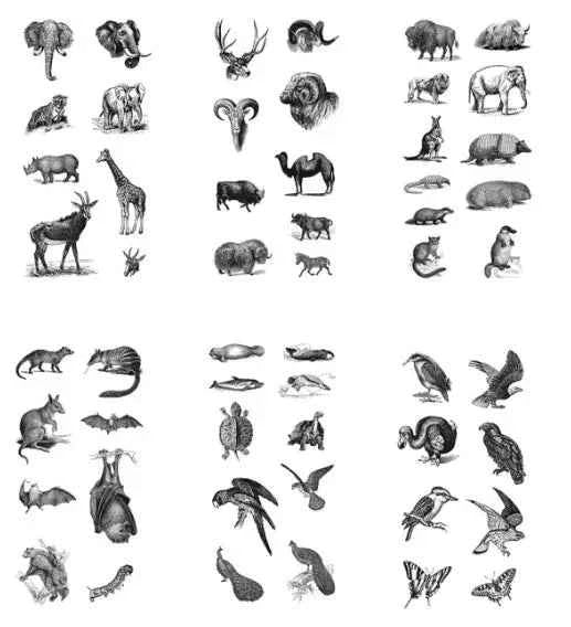 6 vellen washistickers | Wilde Dieren | Zwart-Wit