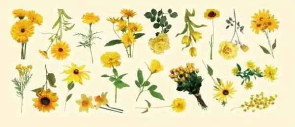 PET-stickers | Gele bloemen