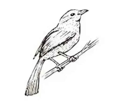 Houten stempel | Vogel | 4 x 3 cm