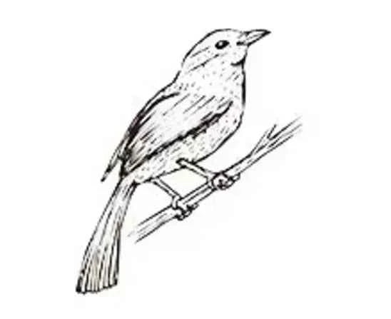 Houten stempel | Vogel | 4 x 3 cm