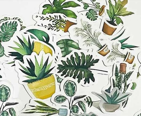 Stickerdoosje | Kamerplanten en bladeren