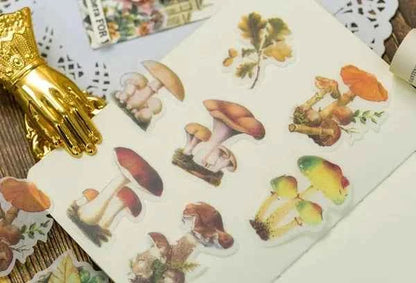 Grote Washistickers | Paddenstoelen