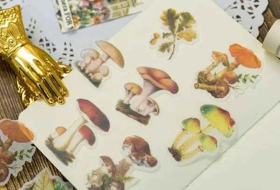 Grote Washistickers | Paddenstoelen