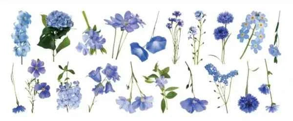 PET-stickers | Blauwe bloemen