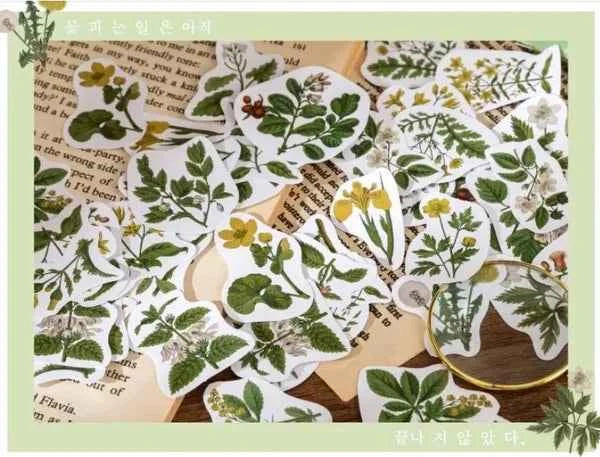 Stickerdoosje | Planten en gele bloemen