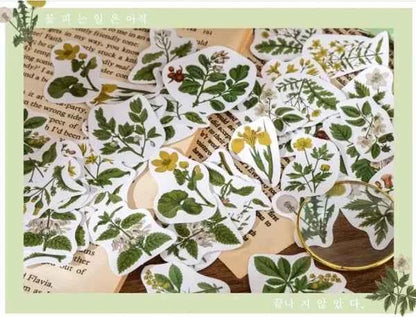 Stickerdoosje | Planten en gele bloemen