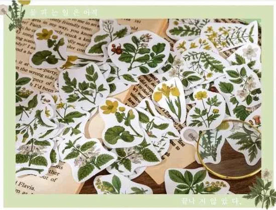 Stickerdoosje | Planten en gele bloemen