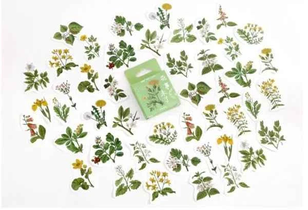 Stickerdoosje | Planten en gele bloemen