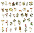 Losse Washistickers | Paddenstoelen en Bloemen | Herfstthema