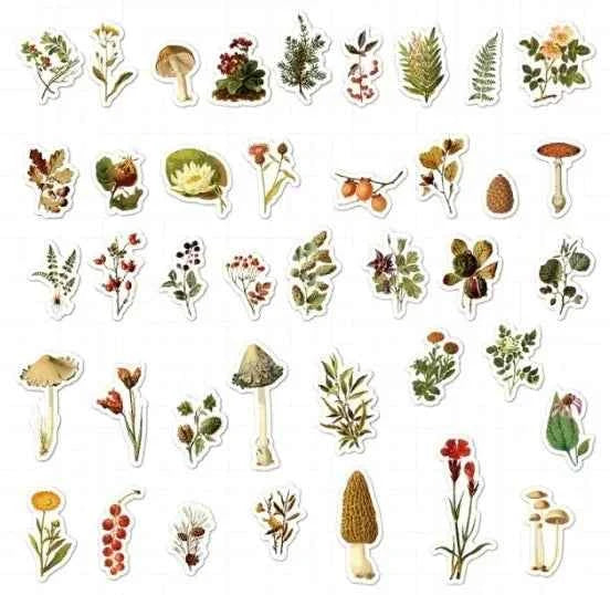 Losse Washistickers | Paddenstoelen en Bloemen | Herfstthema