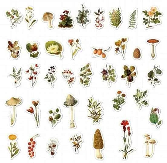 Losse Washistickers | Paddenstoelen en Bloemen | Herfstthema