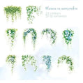 PET-stickers | Bloemen en Muurranken