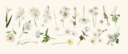 PET-stickers | Witte bloemen