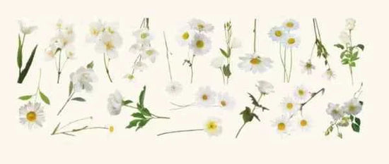 PET-stickers | Witte bloemen