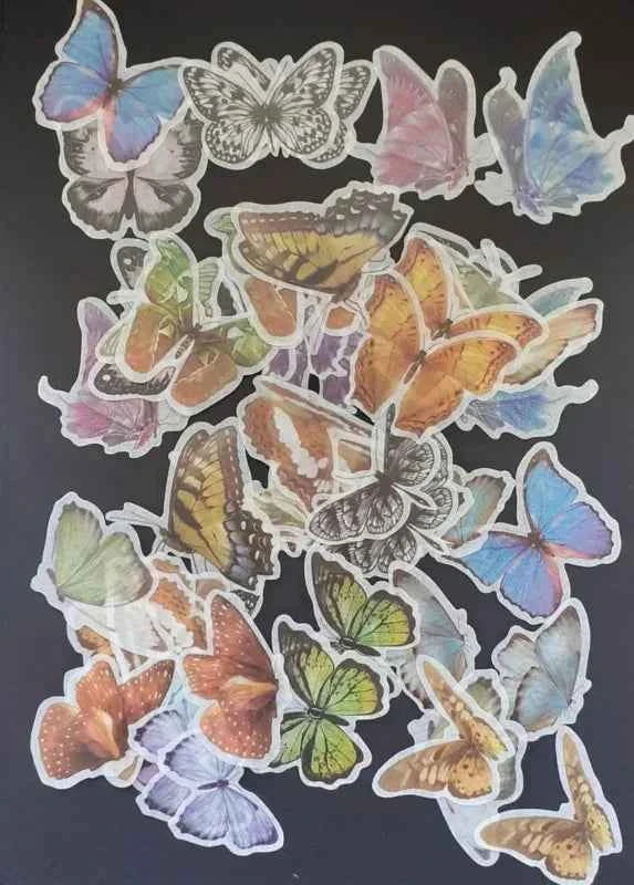 Grote Washistickers | Vlinders