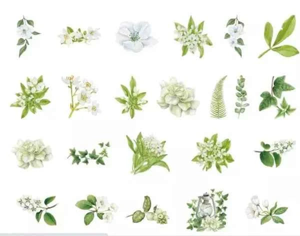 Stickerdoosje | Planten en witte bloemen