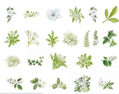 Stickerdoosje | Planten en witte bloemen