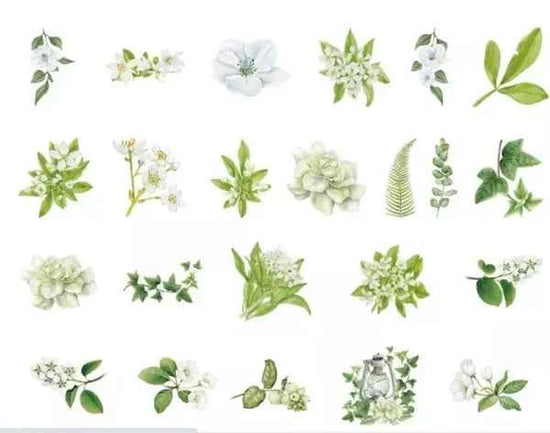 Stickerdoosje | Planten en witte bloemen