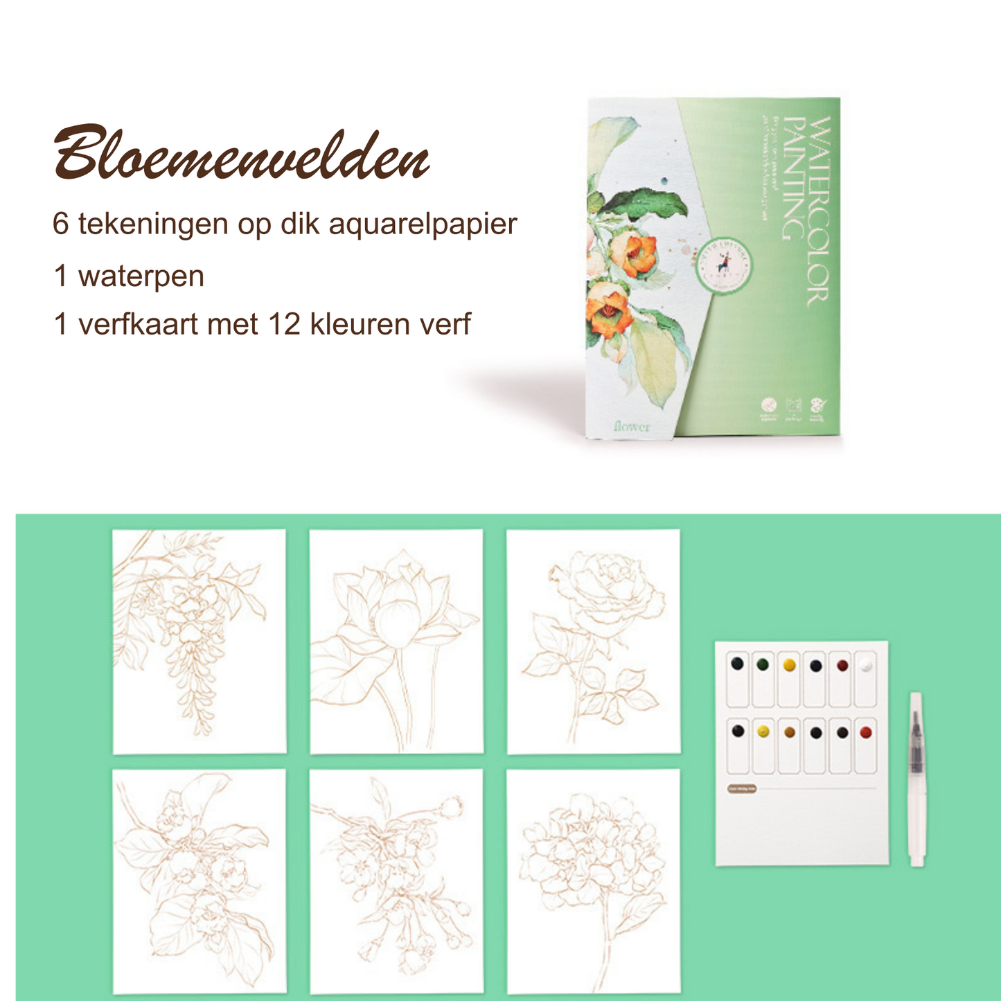 Aquarel schilderen set bloemen – 6 tekeningen op aquarelpapier met verf en waterstift