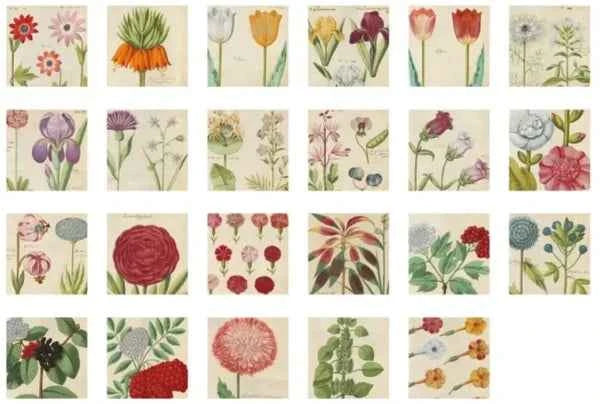 Stickerdoosje | Voorjaarsbloemen