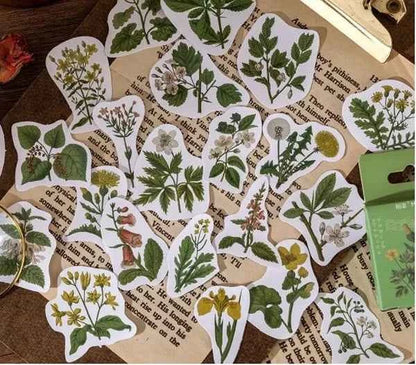 Stickerdoosje | Planten en gele bloemen