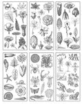 6 vellen washistickers | Bloemen | Zwart-Wit Tekening