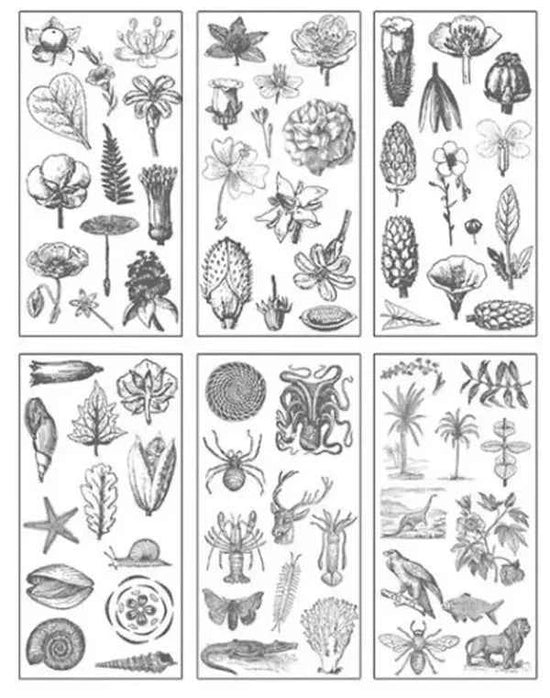 6 vellen washistickers | Bloemen | Zwart-Wit Tekening