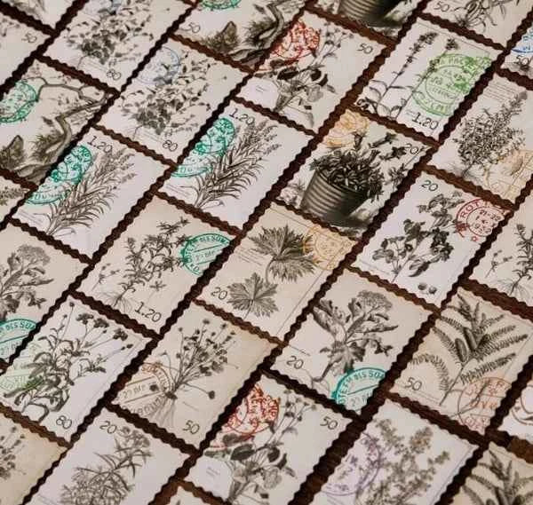 Stickerdoosje | Planten stickers in grijstinten | Postzegelvorm