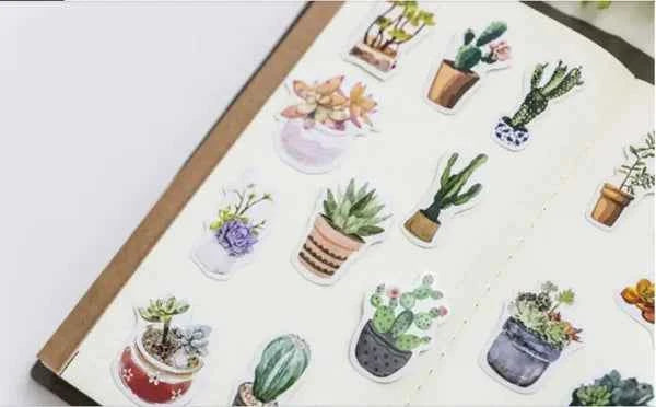 Stickerdoosje | Vetplanten en cactussen in pot