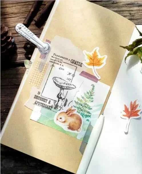 Stickerdoosje | Bosstickers | Thema herfst