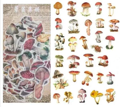 Grote Washistickers | Paddenstoelen