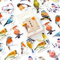 Stickerdoosje | Tuinvogelstickers