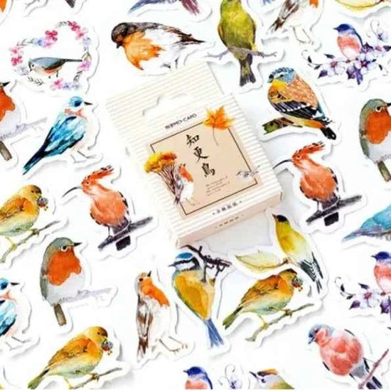 Stickerdoosje | Tuinvogelstickers