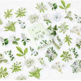 Stickerdoosje | Planten en witte bloemen