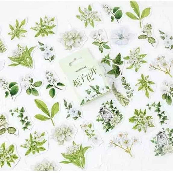 Stickerdoosje | Planten en witte bloemen