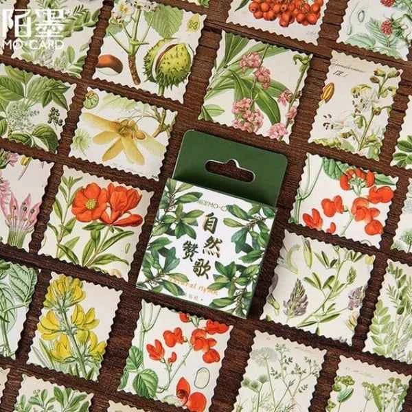 Stickerdoosje | Vierkante bloemenstickers