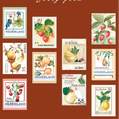 Washitape | Fruit | Postzegelvorm
