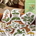 Stickerdoosje | Planten en gele bloemen