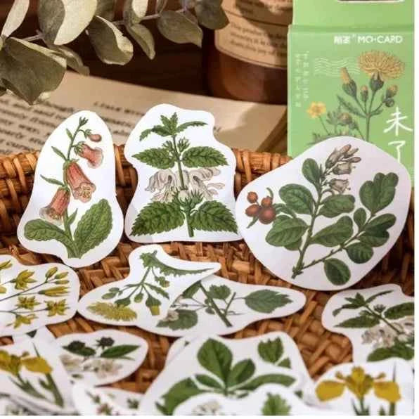 Stickerdoosje | Planten en gele bloemen