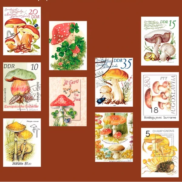 Washitape | Paddenstoelen 2 | Postzegelvorm
