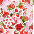 Stickerdoosje | Aardbeien