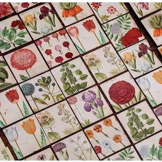 Stickerdoosje | Voorjaarsbloemen