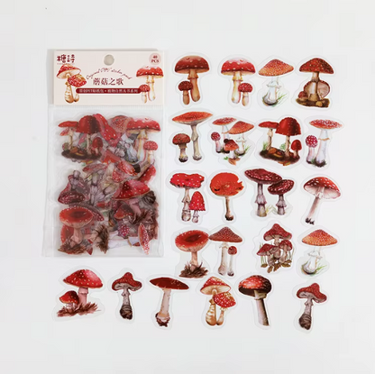 PET-stickers | Paddenstoelen